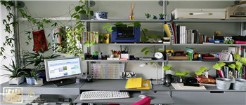 南寧辦公室裝修巧用植物增加活力