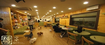 與寵物相結(jié)合的南寧咖啡廳設(shè)計(jì)