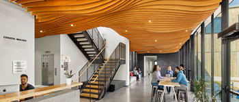 校園大廳裝修設(shè)計熱潮漸顯  國內(nèi)學(xué)校能借鑒就牛逼了